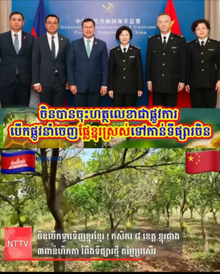ទីផ្សារថ្មីបើកចំហ! ខ្នុរខ្មែរជាង ៣ពាន់ហិកតា ត្រៀមវាយលុកទីផ្សារចិន ជាមួយតម្លៃកាន់តែប្រសើរ